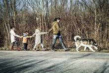 JACKO, Hund, Siberian Husky in Ungarn - Bild 4