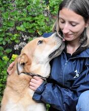 KOSEY, Hund, Mischlingshund in Italien - Bild 32