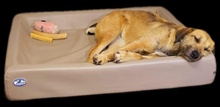 URSULA, Hund, Mischlingshund in Monheim - Bild 18
