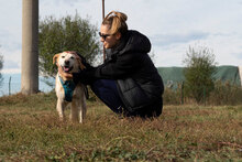 KANELA, Hund, Mischlingshund in Bulgarien - Bild 19