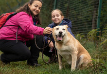 KANELA, Hund, Mischlingshund in Bulgarien - Bild 2