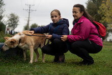 KANELA, Hund, Mischlingshund in Bulgarien - Bild 3