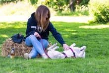 KIKY, Hund, Mischlingshund in Minden - Bild 15