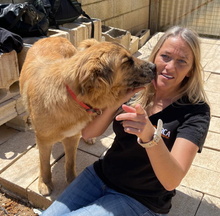 HANNA, Hund, Mischlingshund in Spanien - Bild 11