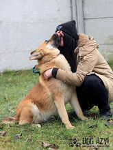 TILDA, Hund, Mischlingshund in Slowakische Republik - Bild 12