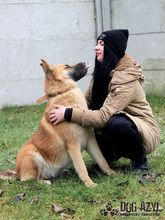 TILDA, Hund, Mischlingshund in Slowakische Republik - Bild 15