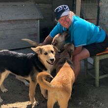 CASPER, Hund, Mischlingshund in Egelsbach - Bild 3