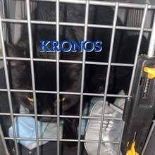 KRONOS, Katze, Europäisch Kurzhaar in Bosnien und Herzegowina