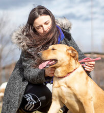 CLEMENTINE, Hund, Mischlingshund in Dortmund - Bild 10