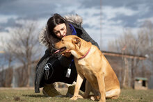 CLEMENTINE, Hund, Mischlingshund in Dortmund - Bild 11