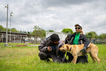 CLEMENTINE, Hund, Mischlingshund in Dortmund - Bild 15