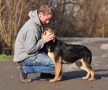 POLLYN9, Hund, Mischlingshund in Slowakische Republik - Bild 3