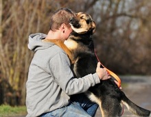 POLLYN9, Hund, Mischlingshund in Slowakische Republik - Bild 8