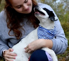 JURKO, Hund, Mischlingshund in Slowakische Republik - Bild 9