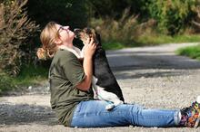 KANSAS, Hund, Mischlingshund in Slowakische Republik - Bild 4