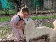 ELVIRA, Hund, Maremmano-Mix in Italien - Bild 6