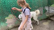 ELKE, Hund, Maremmano-Mix in Italien - Bild 14