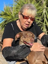 DUSTY, Hund, Mischlingshund in Spanien