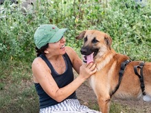 HUCKLEBERRY, Hund, Mischlingshund in Rumänien - Bild 5