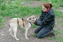 HELGA, Hund, Mischlingshund in Rumänien - Bild 9