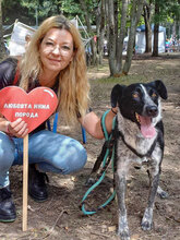 RAINA, Hund, Mischlingshund in Bulgarien - Bild 2