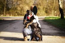 RINGOY93, Hund, Mischlingshund in Slowakische Republik - Bild 5