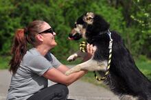 TEUSKO, Hund, Mischlingshund in Slowakische Republik - Bild 11