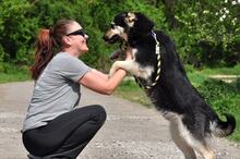 TEUSKO, Hund, Mischlingshund in Slowakische Republik - Bild 14