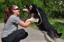 TEUSKO, Hund, Mischlingshund in Slowakische Republik - Bild 19