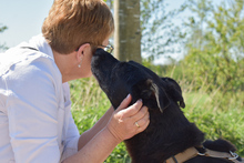 ZURLY, Hund, Mischlingshund in Großenaspe - Bild 6