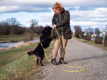 MATRIX, Hund, Mischlingshund in Emmendingen - Bild 13