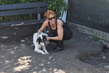 NYURA, Hund, Mischlingshund in Berlin - Bild 7