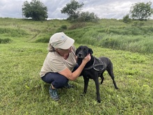 NISHA, Hund, Mischlingshund in Wüstenrot - Bild 22