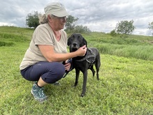 NISHA, Hund, Mischlingshund in Wüstenrot - Bild 25