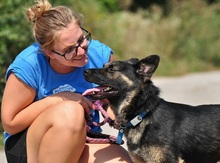 MARCUS, Hund, Mischlingshund in Slowakische Republik - Bild 11