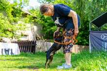 PRZTYK, Hund, Pinscher in Polen - Bild 3