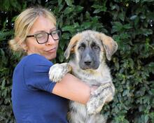 VALYSSA, Hund, Mischlingshund in Italien - Bild 20