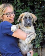 VALYSSA, Hund, Mischlingshund in Italien - Bild 22