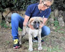 VALYSSA, Hund, Mischlingshund in Italien - Bild 25