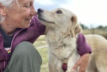 GIADA, Hund, Maremmano-Mix in Italien - Bild 18