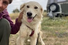 GIADA, Hund, Maremmano-Mix in Italien - Bild 19