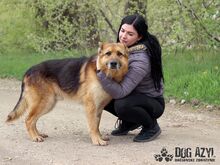 MONCHERIE, Hund, Mischlingshund in Slowakische Republik - Bild 2