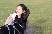 QUENTIN, Hund, Mischlingshund in Kirchberg - Bild 14