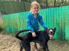 QUENTIN, Hund, Mischlingshund in Kirchberg - Bild 19