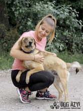 SPOOKY, Hund, Mischlingshund in Slowakische Republik - Bild 2