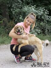 SPOOKY, Hund, Mischlingshund in Slowakische Republik - Bild 3