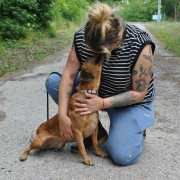 MIKA, Hund, Mischlingshund in Slowakische Republik - Bild 6