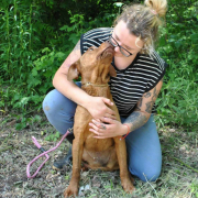 PANDORA, Hund, Magyar Vizsla-Mix in Slowakische Republik - Bild 5