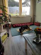 KIYAN, Hund, Mischlingshund in Bad Fallingbostel - Bild 9