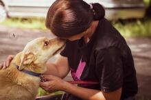 LAPAJ, Hund, Mischlingshund in Slowakische Republik - Bild 5